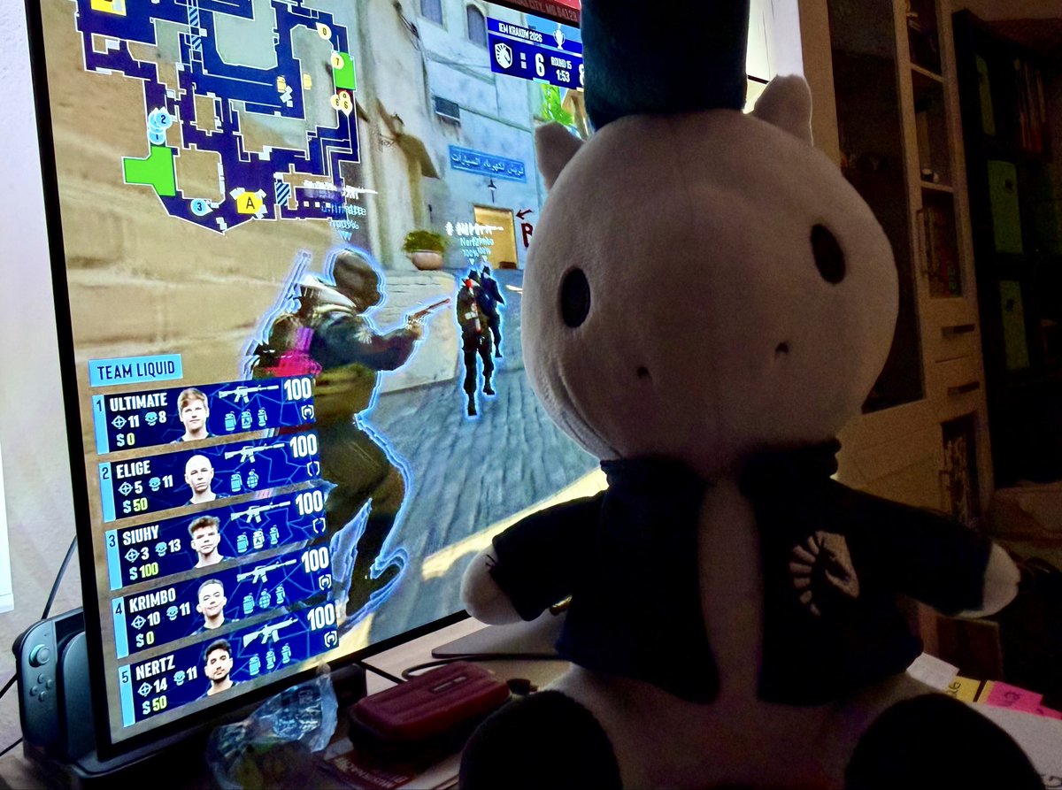 44tommy44's tweet photo. @HLTVorg @TeamLiquidCS @theMAKKU 💙 for @NAFFLY and for @TeamLiquidCS 💙 https://t.co/3eqzRS13FU