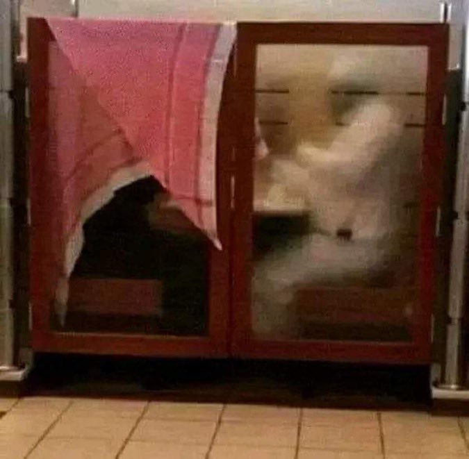 العتيبيّ tweet media