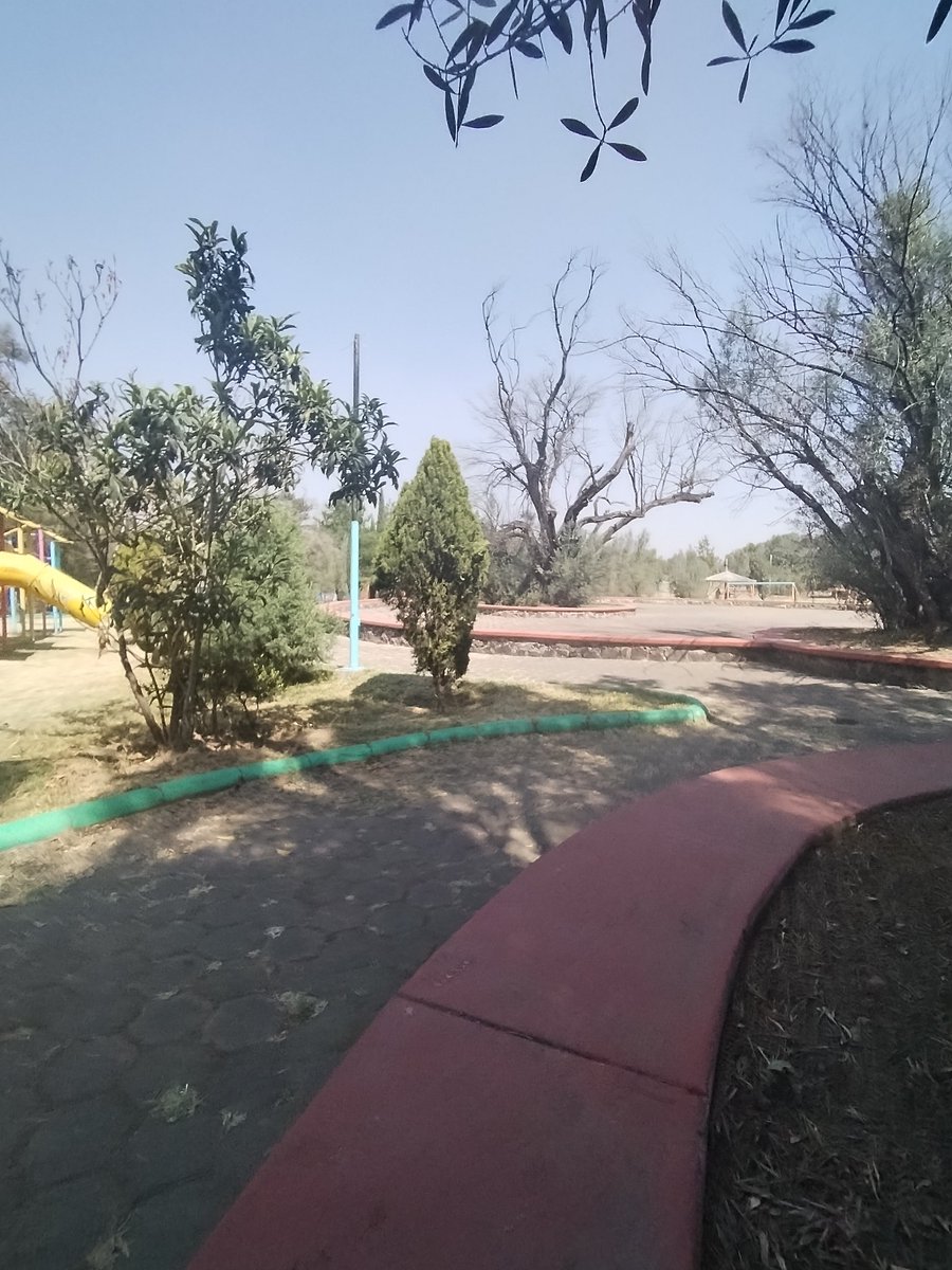 rep10ajus's tweet image. Alguna pareja o chica que le guste el exhibiciónismo o podemos irnos a otro lado parque olivos en tulye