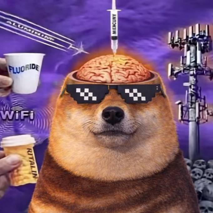 Brain overloaded, conviction untouched.

They tried to fry my brain. Didn’t work - still holding, still chilling.