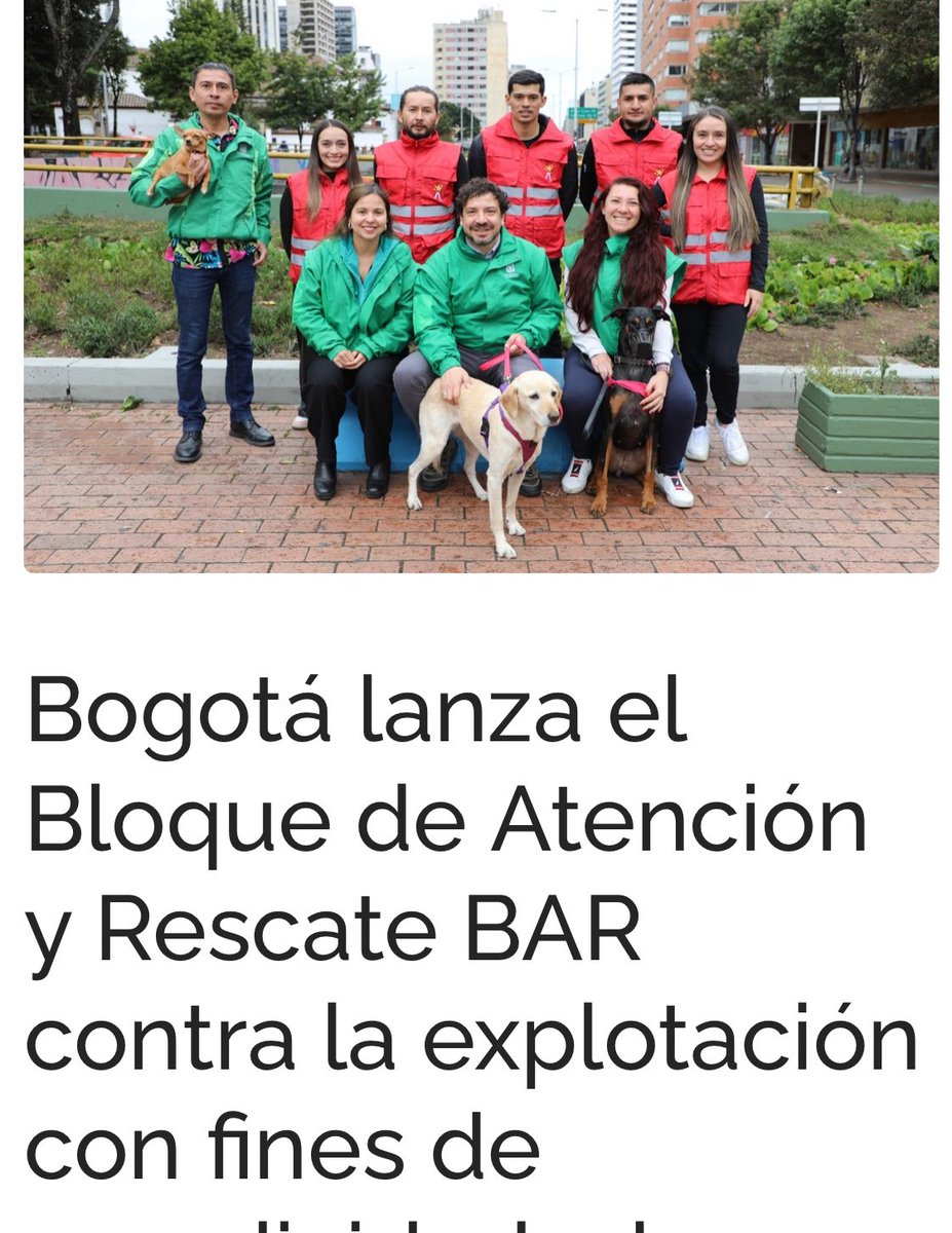 Jimmena Estrada Sánchez tweet media