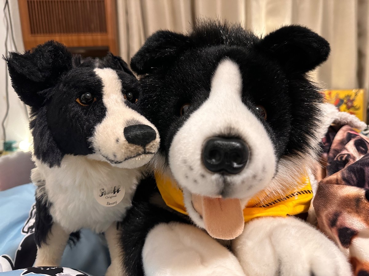 こんばんは、私はБодакоです🐶✨ Дорогие Друзья, Добрый вечер.🌹 私