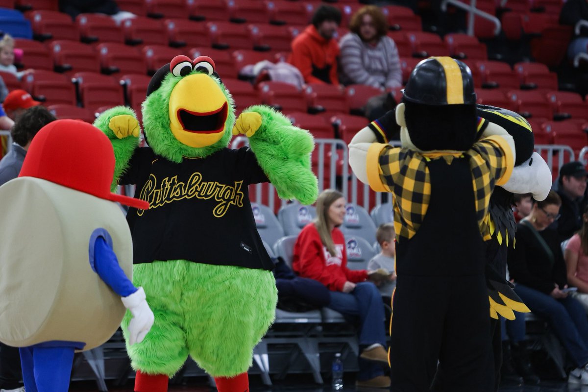 RMU Athletics tweet media