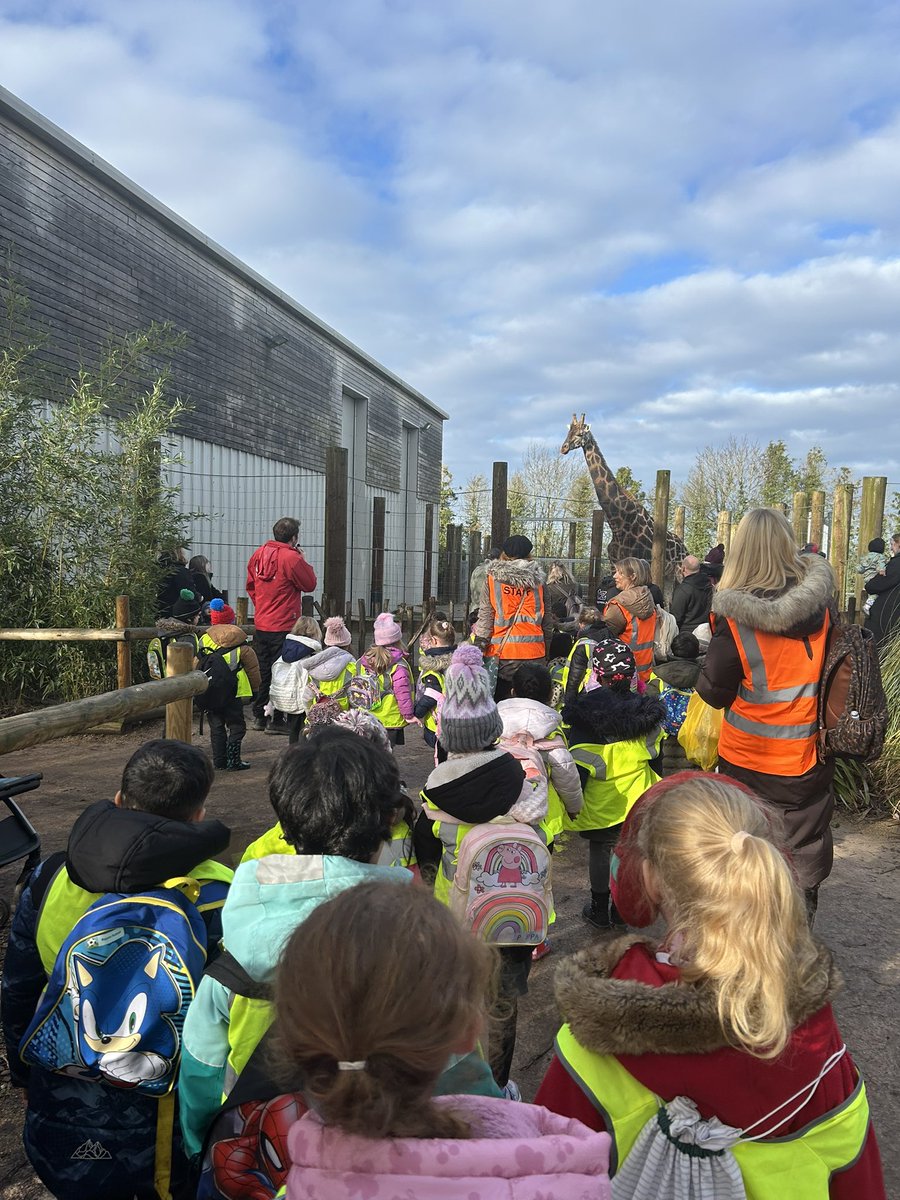 Mrs Handy tweet media