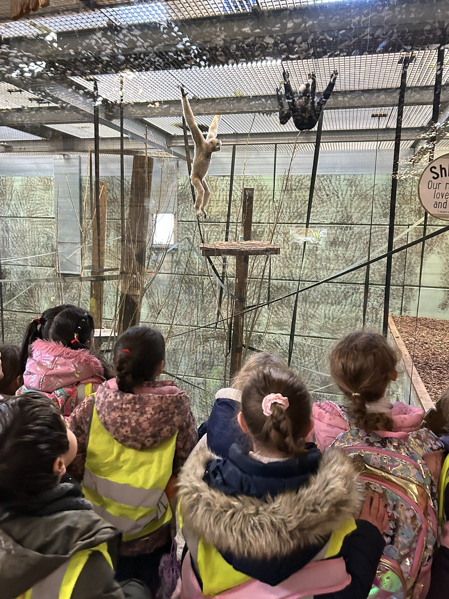 Mrs Handy tweet media