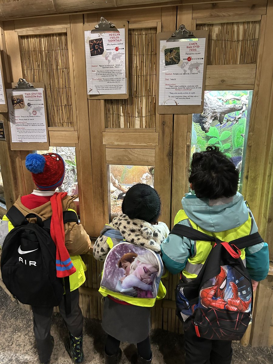 Mrs Handy tweet media