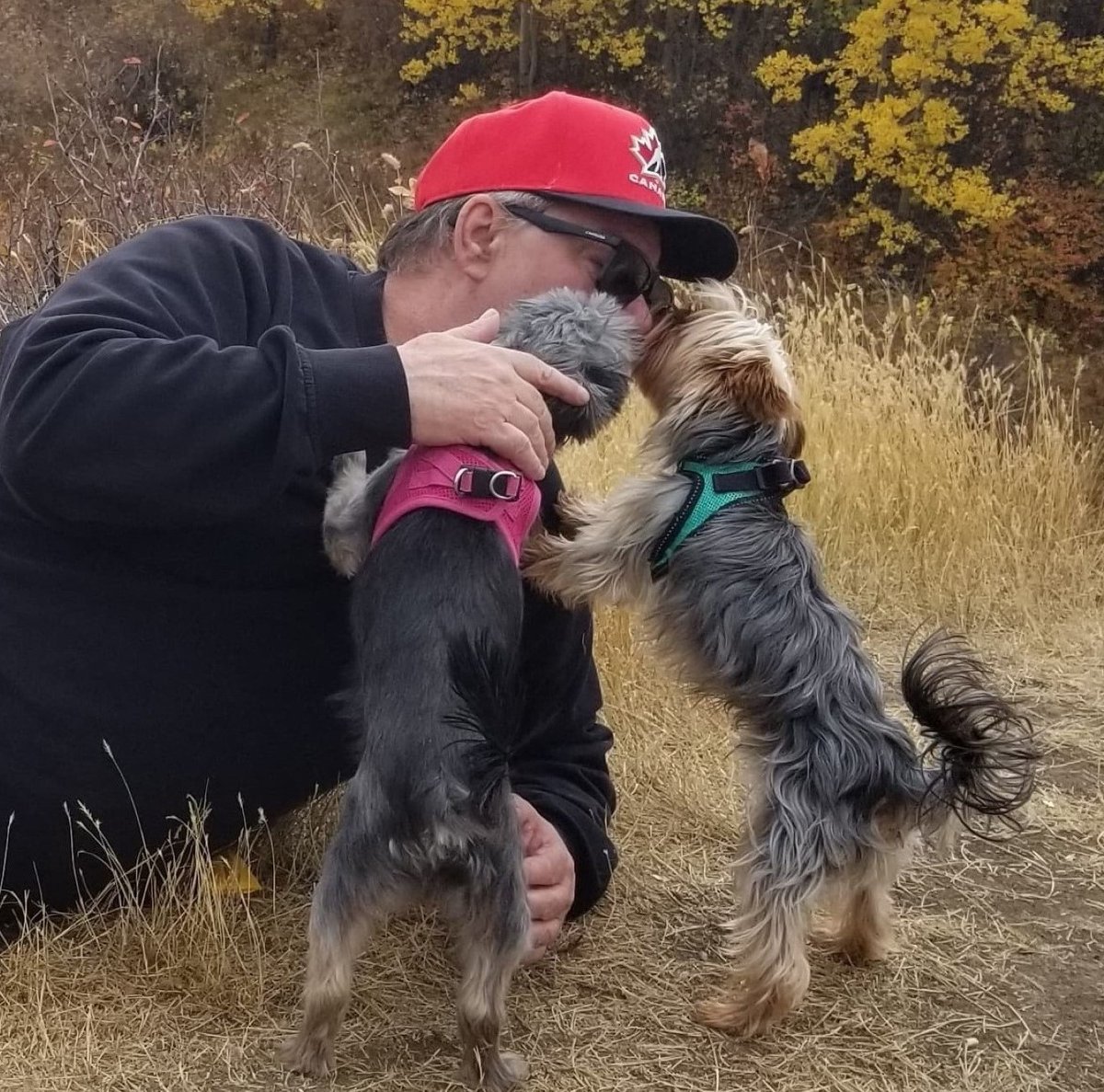 Magic Beans 🐿️ tweet media