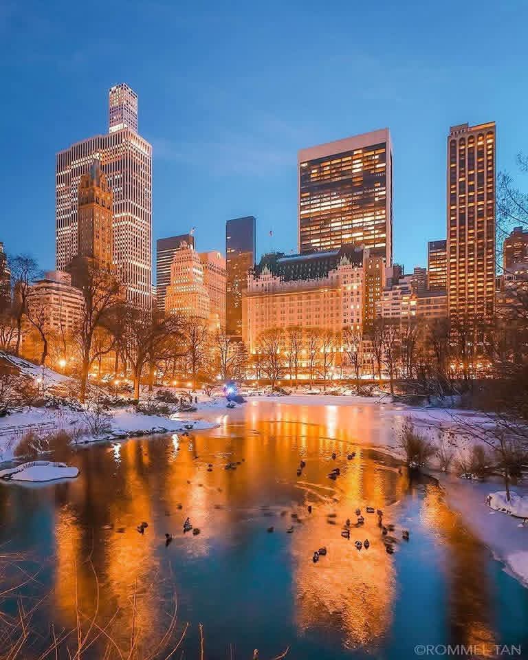 CityScapes tweet media