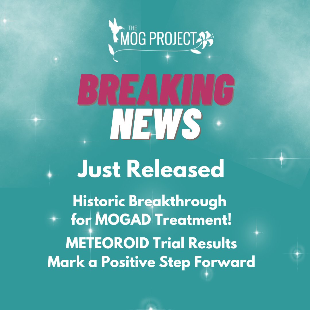 The MOG Project tweet media