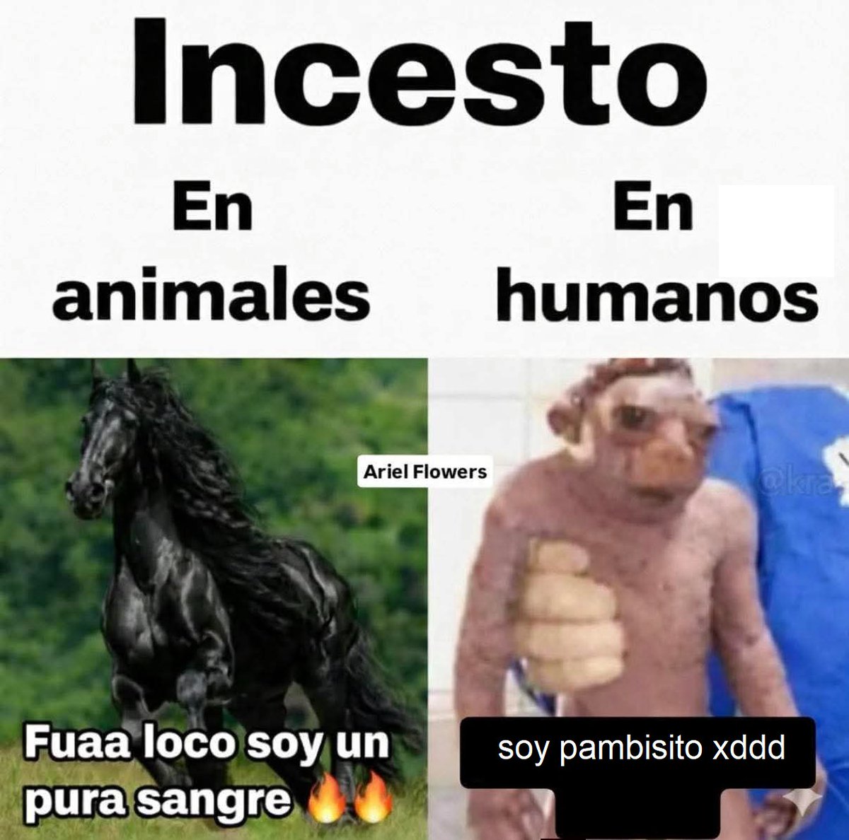 AsiGarSan2's tweet image. 