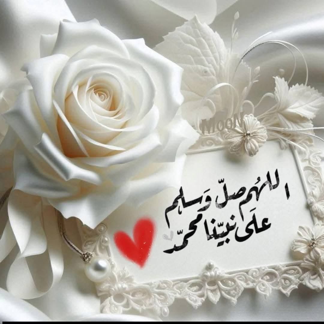 SALAMA RADWAN 🏹🇦🇹 tweet media