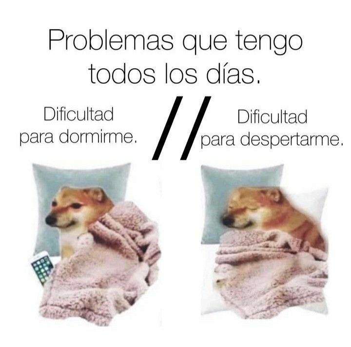 Pkittass (@pkittass) on Twitter photo 