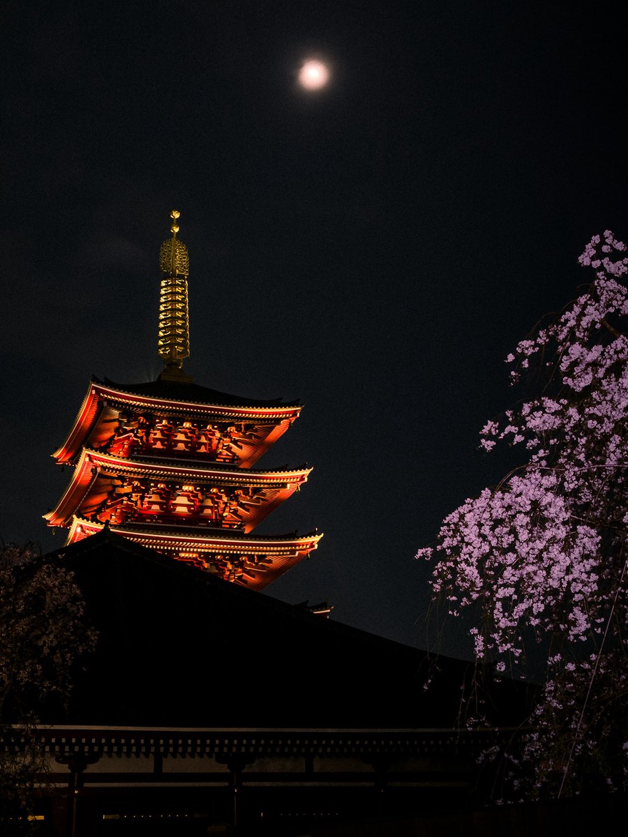 MadzMada's tweet photo. Night scenes in Tokyo https://t.co/WPMxLj0VZI