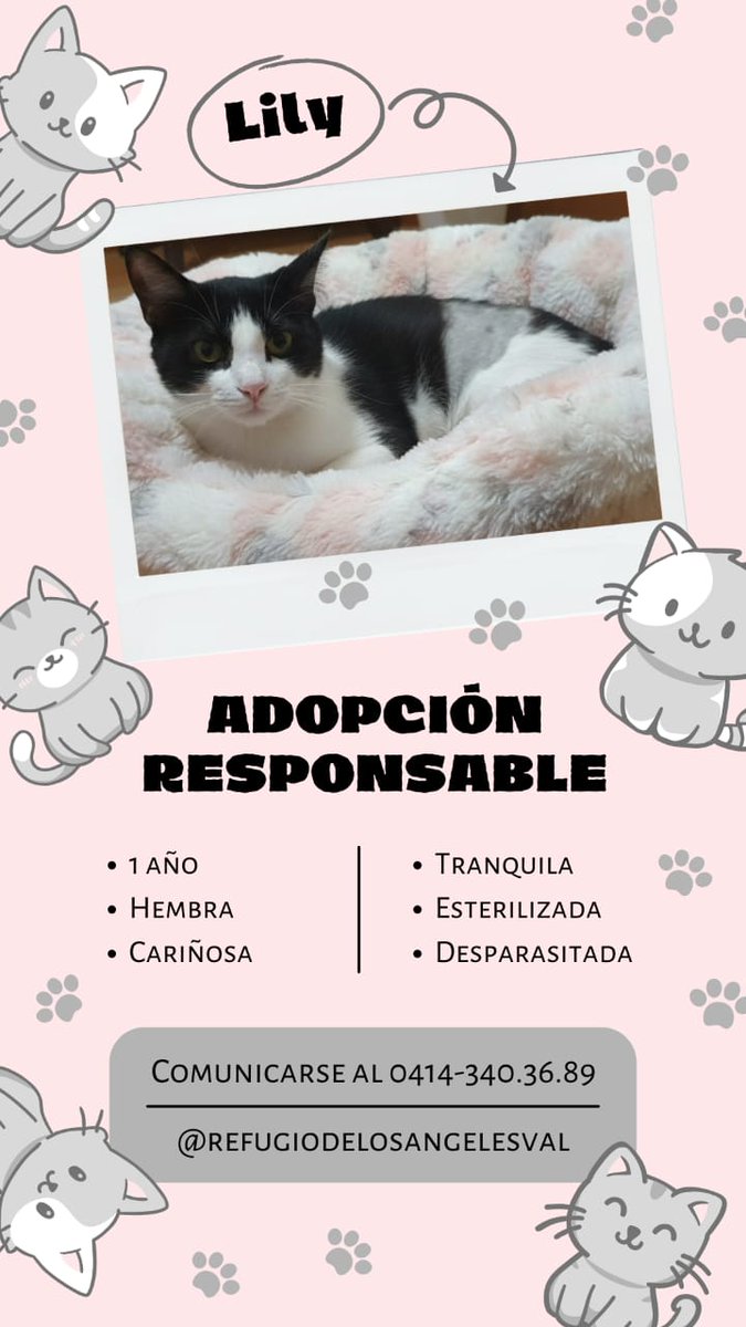Adopta. Salva una vida. Cambia un destino.