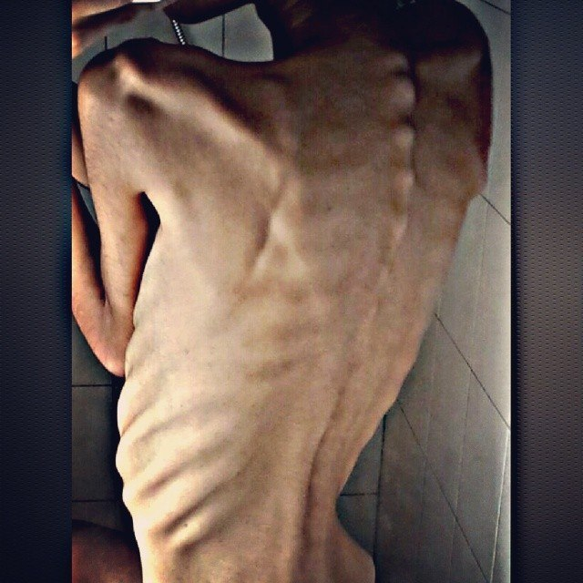 BroadDayLight tweet media