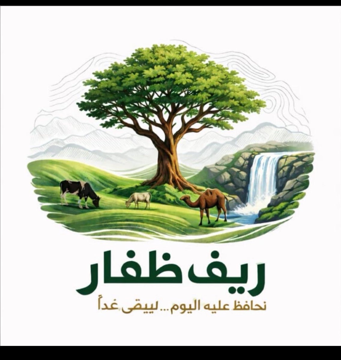 sa_tabook's tweet photo. أرياف ظفار وآخر الخصوصيات،
بين الحماية والإستدامة،
وبين التفريط والعبث.

أكثر المواضيع تداولاً ونقاش هذه
الأيام في محافظة ظفار هو إستدعاء بعض الشيوخ إلى مكتب
المحافظ وإبلاغهم بنية بعض الجهات إلحاق تبعية أرياف المحافظة بوزارة الإسكان والتخطيط العمراني،
وذلك بالتاكيد تم دون دراسة معمقة لتأثير مثل هذه الخطط على الوضع الإجتماعي وطبيعة وخصوصية الأرياف،
علماً إنها ليست مناطق خالية
مفتوحة قابلة للتخطيط وا��تصرف،
بل هي مجتمعات ومساكن،
وثروة ومراعي، وبئية وطبيعة وسياحة، ومناطق وخصوصيات،
ويبدو إن هنالك خطط وأطماع مبيتة من بعض الأفراد والجهات للقضاء على هذه الخصوصيات
وجعلها في متناول الطامعين فيها كما حصل في مناطق أخرى.
وقد صاحب الطرح الكثير من وعود التطوير والخدمات والحفاظ
على خصوصية الأرياف،
لكن من خلال تجاربنا مع مثل هذه الوعود أدركنا إنها ليست إلا طُعم للإصطياد،
حيث مررنا بالكثير من الخطط والوعود التي لم ينفذ منها شيء وتختفي بمرور الوقت،
وكانت أبرز الخطط والوعود هي
مخرجات ندوة التصحر في المعمورة شهر مارس 2002،
بأمر وإشراف السلطان قابوس طيب الله ثراه، وتم رصد عشرات الملايين لتنفيذ أولى مراحلها،
ثم أختفت الأموال والنوايا،
وبدأت الأهداف تتحول إلى رغبات الإستحواذ، حيث تم منع الصرف في السهل والجبل إلى وقت آخر
كما أشار قرار المحافط وهو الوقت الذي لم يحن بعد،
مروراً بإ��غاء النيابات في الأرياف وخدماتها وخصوصية المناطق
والسكان وتحويل خدماتهم إلى مكاتب مزدحمة لا يستطيعون مقابلة موظفيها إلا بشق الأنفس وبلا إنجاز. 
وصولاً إلى إلحاق سهول محافظة ظفار كاملة بوزارة الإسكان مع الوعود بحفظ حقوق السكان المتضررين وأهمها ثلاث، هي
إعتماد كل الحيازات الموجودة
قبل شهر مايو 2019 زايد إعتماد الطلبات المقدمة من النيابات المعتمدة والموقعة من قبل اللجنة الرئيسية الخاصة بالسكن
الريفي، زايد تخطيط الجيوب القريبة من التجمعات السكانية وصرفها لطلبات أبناء مناطق تلك التجمعات، وللأسف لم يحصل شيء من هذا كله لحد الآن إلا المباني القائمة،
وأخيراً يراد بنا حلق الشوارب بعد
الرؤوس واللحى وتسليم السكن والثروة والمرعى.
مع الترغيب بالتطوير والتعمير القادم.
ونعلم كما تعلمون ويعلم الجميع إن الأرياف بالإضافة إلى ما ذكرنا سابقاً فهي متنفس ومنتزه طبيعي من شرقها إلى غربها لكل أبناء المحافظة وزوارها ولآ تحتاج للعبث بطبيعتها وبئتها وخصوصيتها.
وإذا كان هنالك من تطوير سياحي
فألاولى به المزار��ت والوجهات السياحة المعروفة في المحافظة
المتمثلة في شواطئ ظفار من ضلكوت إلى حاسك. ثم العيون المناسبة من الجبال إلى السهول في معظم مخارج أودية المحافظة،
ثم فك الإختناق المروري الذي يكاد
يكون شبه دائم في معظم حواضر
المحافظة دعك من موسم الخريف، وإصلاح الكثير من الشوارع المتضررة في المدن والجبال،
لكننا للأسف نعلم إن هذه
المزارات السياحية المهمة لم يطور فيها أي شيء، لآ حتى مواقف سيارات ولآ دورات مياه،
فمابال الخدمات الأخرى.
أما ما يخص الحماية والدعم كما يعلم الجميع إن المجتمع الريفي يعيش على هذه الثروة الحيوانية التي يمتلكها بمساعدة الطبيعة والمراعي التي ��اش فيها أباً عن جد، وإن أعداد هائلة من
العاطلين يعيشون على هذه الثروة ومنها، وينشغلون فيها رغم إنه لآ توجد أية حماية أودعم حكومي لهذا المجتمع وثروته الحيوانية،
مع إن كل الحيوانات والضواري والطيور والزواحف تحضى بالدعم والحماية،
فأنه للأسف لآ يجد المجتمع الريفي وثروتة الحيوانية تلك الحماية والإهتمام.
والخلاصة فأننا نحن أبناء هذا المجتمع الريفي الذي يحمل كل
التقدير والإحترام للجميع، سلطاناً
وحكومة وشعباً ووطناً، لسنا ضد التنمية والتطور، ولآنمانع في إقامة أي تنمية أو تطوير أو مشاريع خدمية تخدم الوطن وتعود عليه
بالفائدة والنفع، ولآ تضر المواطن وتحترم خصوصيته وظروفه وضرورياته. وذلك بالتنسيق مع الوجهاء والسكان في المناطق المستهدفة، 
وكذلك نطالب كل المعنيين بالأمر من أهلنا المسؤولين بتفادي أي خطط أو قرارات خاطئة قد تؤدي إلى التصادم بين مصالح الوطن والمواطن وتثير ما يمكن أن يكون أضراره أكثر من منافعه، ولآ يخدم أحد.
... سعيد أحمد تبوك...
29/1/2026.
