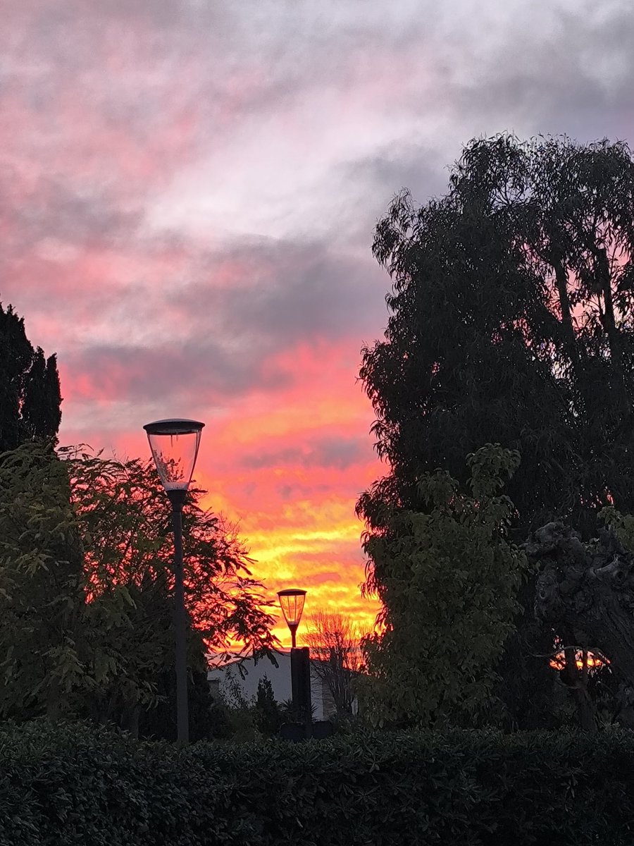 #JeudiPhoto
#Jeudiencouleurs 
#jeudi 
#cotedazurfrance
Arrivé à temps !🔥🔥🔥