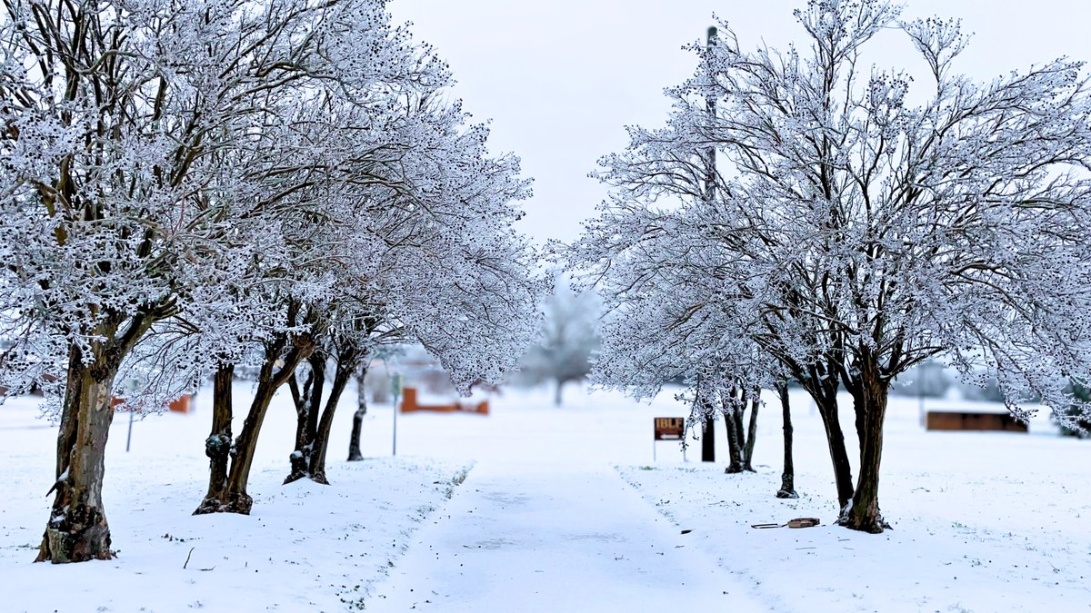 BMA Seminary tweet media