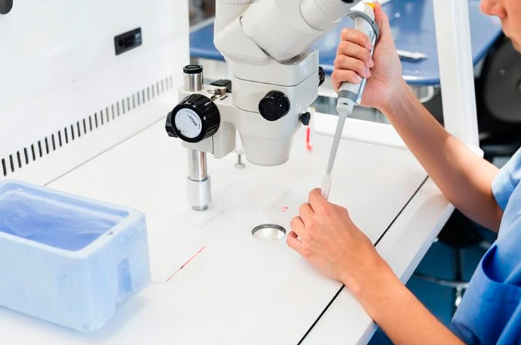 SócPetit tweet media