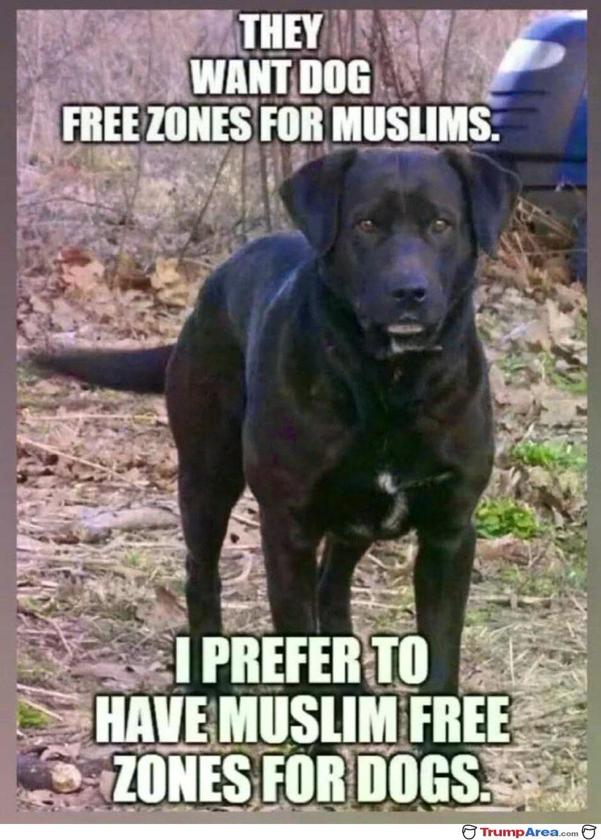 I vote for Option #2!