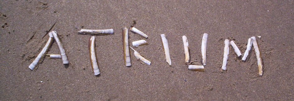 Atrium Poetry tweet media