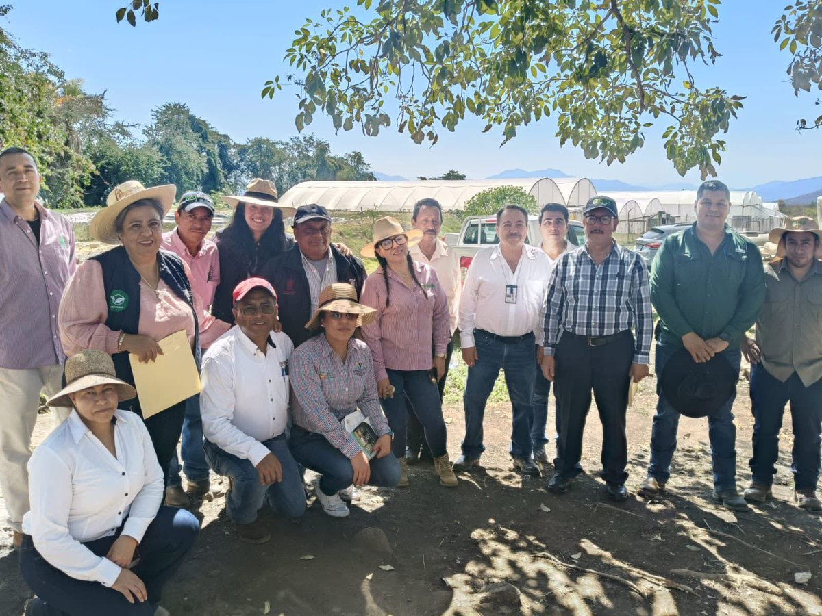 En el marco del Plan Michoacán para la Paz y la Justicia, se realizó visita al Vivero de Tipítaro para evaluar su ampliación en la producción de cítricos.

🤝 Con participación de SADER, SENASICA e INIFAP se fortalece la sanidad vegetal y el campo michoacano.