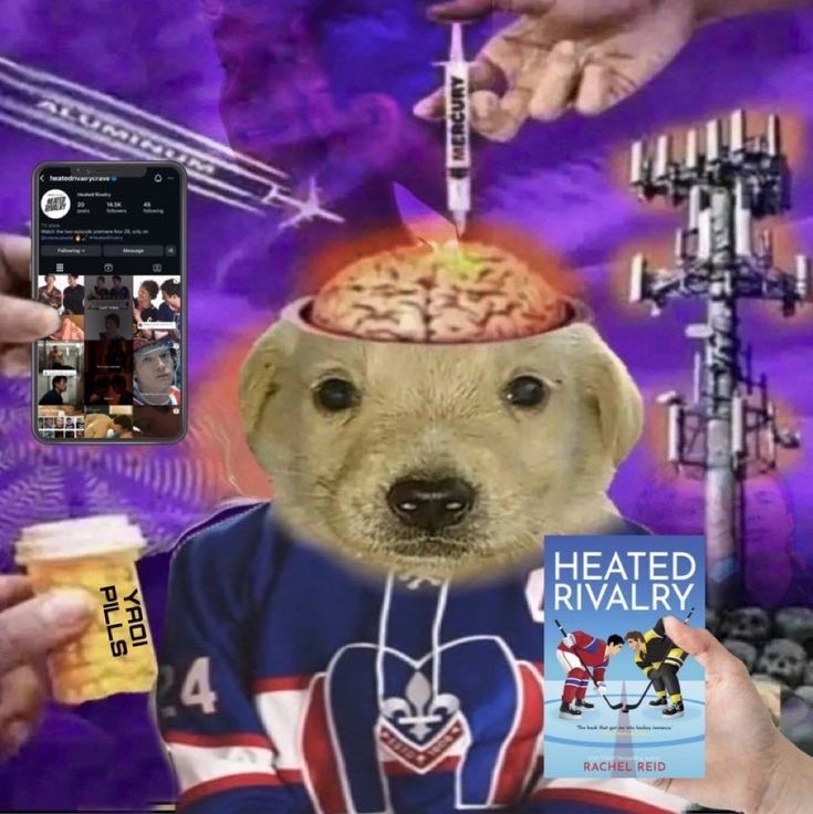 starkovabarnes's tweet image. this is literally what coming to twitter feels like