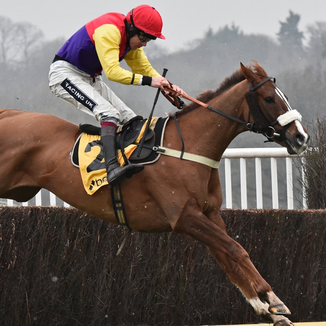 NewburyRacing's tweet photo. Champions return 🏆

The RoR Parade is back for @WilliamHill Super Saturday with some true icons of the sport parading at the Racecourse on Saturday 7th February 📅

This year's parade – which takes place ahead of the William Hill Denman Chase - includes Native River, Coneygree, Barbers Shop, Dashel Drasher, Smad Place, and Lord Du Mesnil 👑

📖 Full story ➡️ https://t.co/TQQdCaKK5N

@RoRlatest