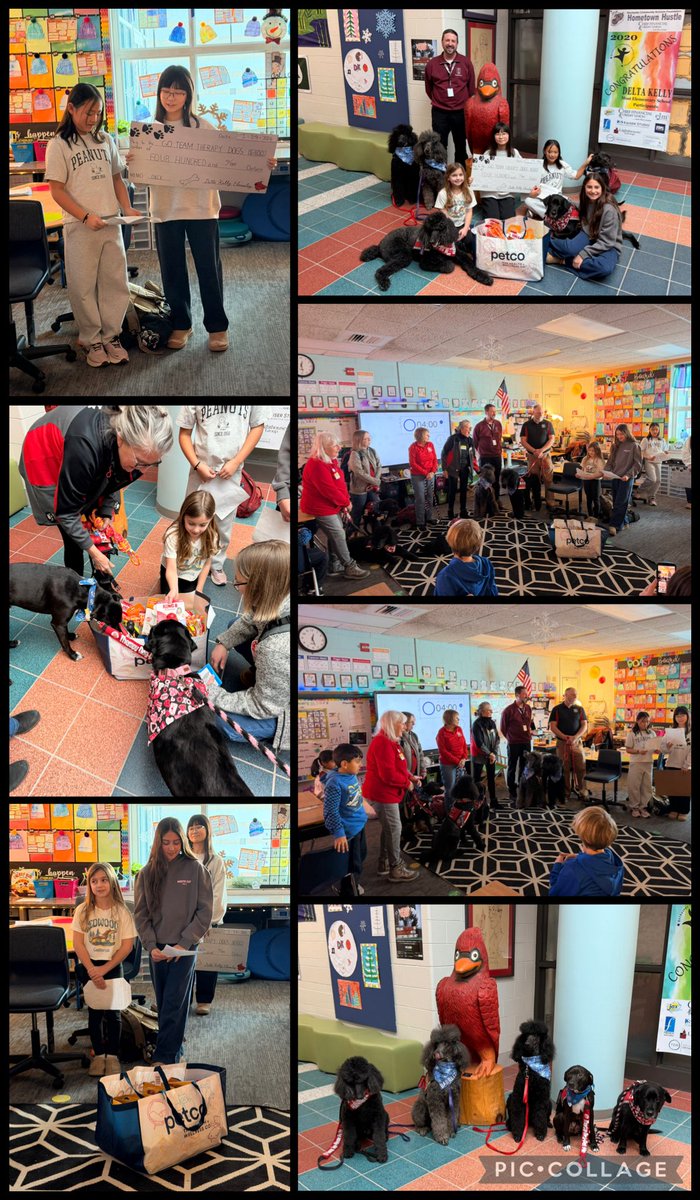 Robin Cottone tweet media