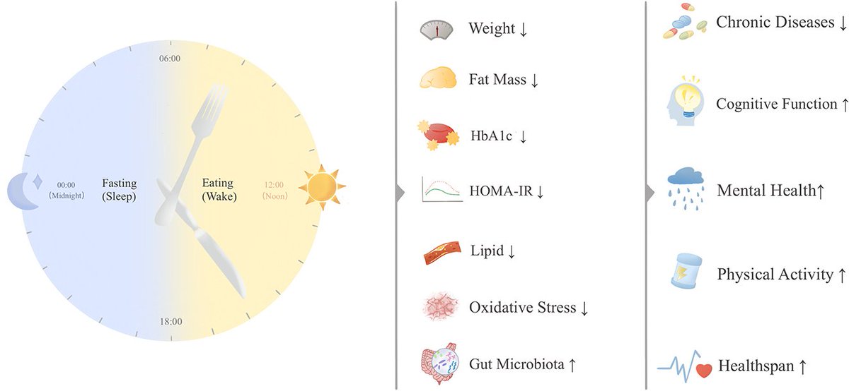 Agingdoc🩺Dr David Barzilai🔔MD PhD MS MBA DipABLM tweet media