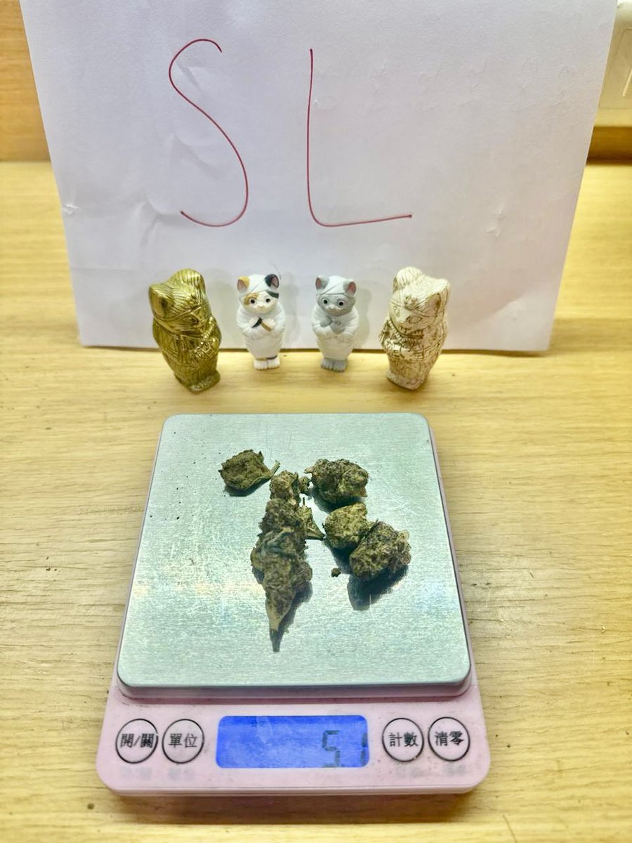 StoneLoveWeed's tweet image. 近期朋友們的分享💚

#weed #sativa #Indica #thai #台北 #新北 #桃園 #新竹 #台中 #嘉義 #高雄 #台南 #lsd #mdma #420tw