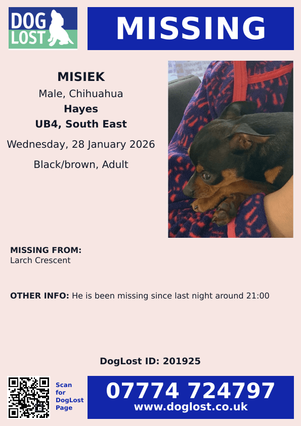 millypod1's tweet photo. ๐28 Jan 2026 #Lost Misiek #ScanMe
Chihuahua Male (Tongue hangs out missing teeth)
Larch Crescent #Hayes #GreaterLondon #London #UB4
https://t.co/boVegwShUZ https://t.co/F1JqELe1w6