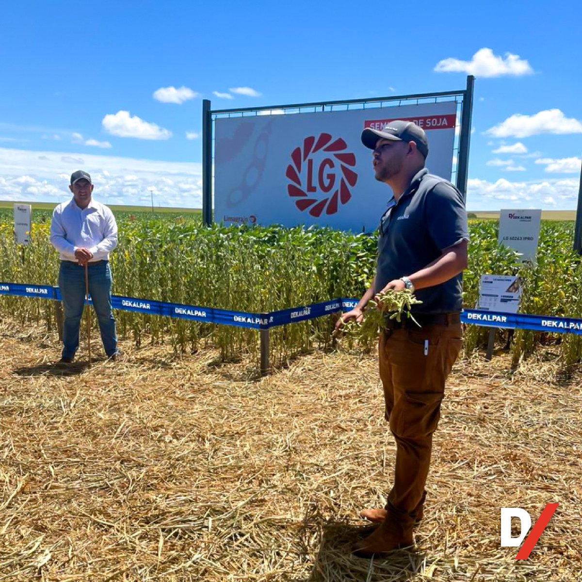 Gracias a todos los productores y técnicos que nos acompañaron en el Día de Campo de Soja 🌱
29/01 – Estancia Monte Alegre - Capitán Bado 🚜

#Dekalpar #soja #DíaDeCampo