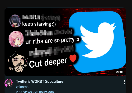 ray 🐾🍎 tweet media