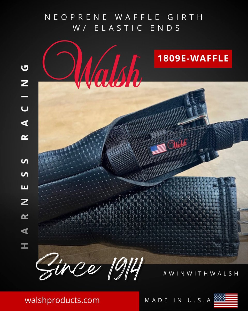 Walsh Harness Racing tweet media