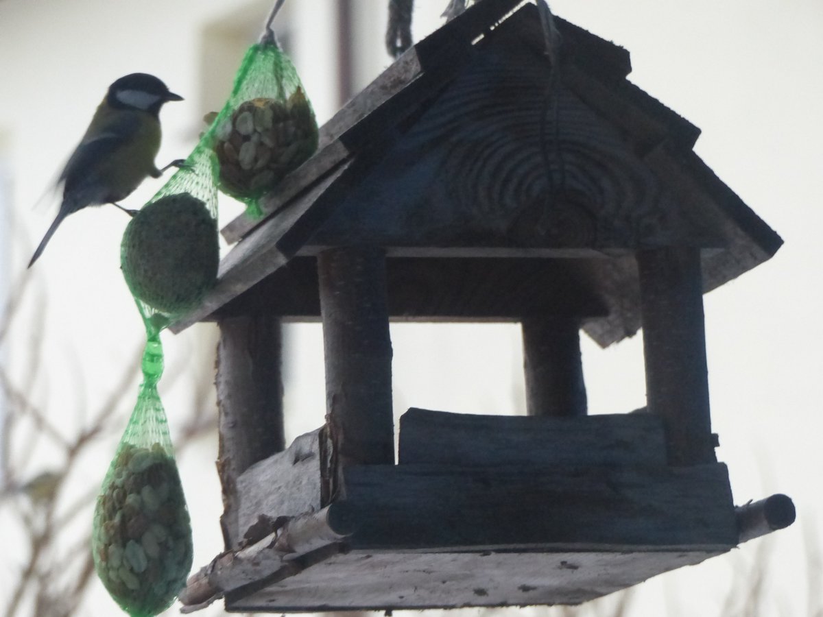 Zimniutko... robie, co mogie