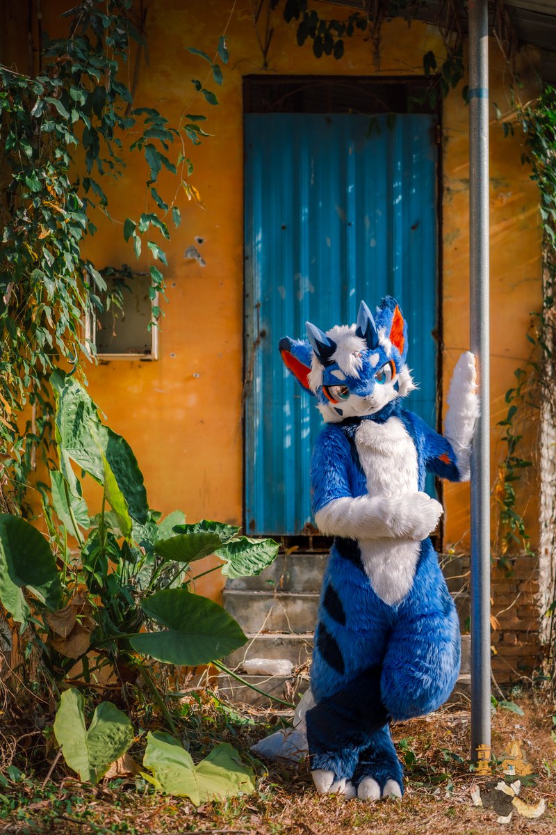 LiyuanHika tweet media