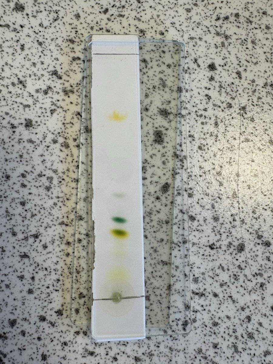 Science - Douglas Academy tweet media