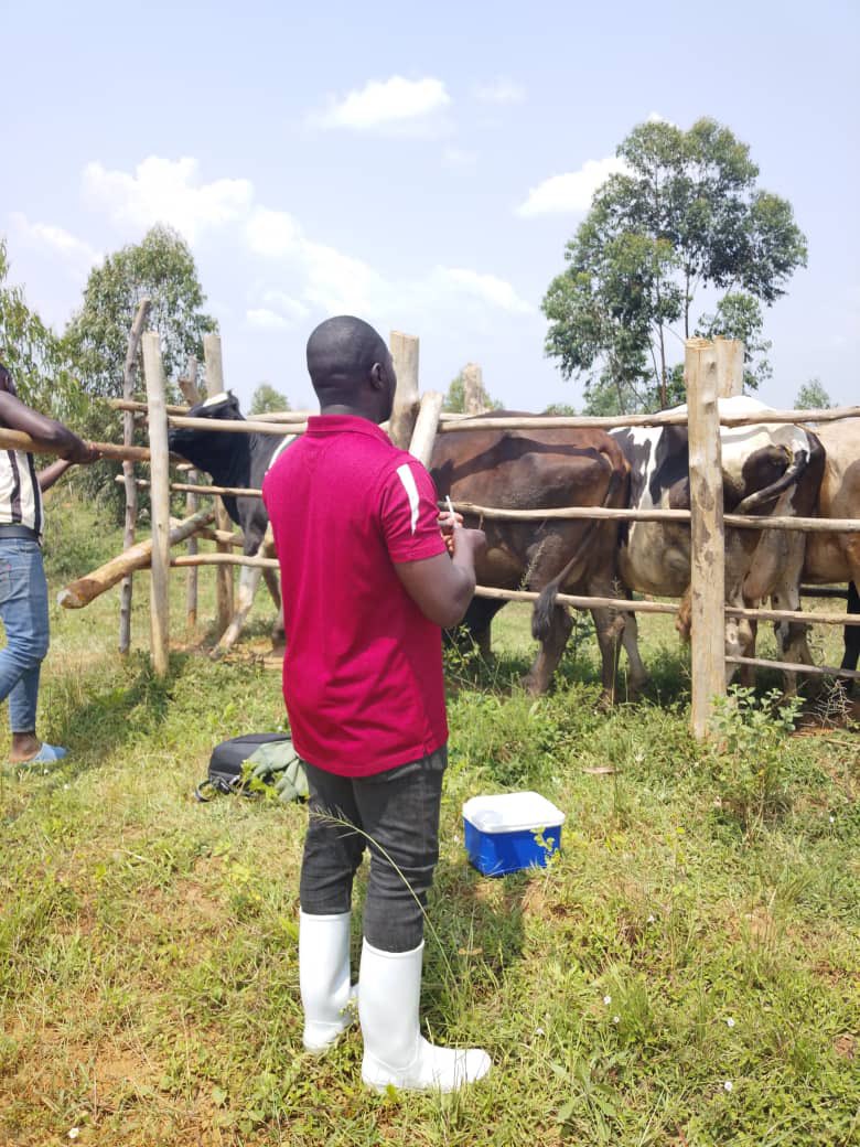 Umurenge wa Ntarama - Akarere ka Bugesera tweet media