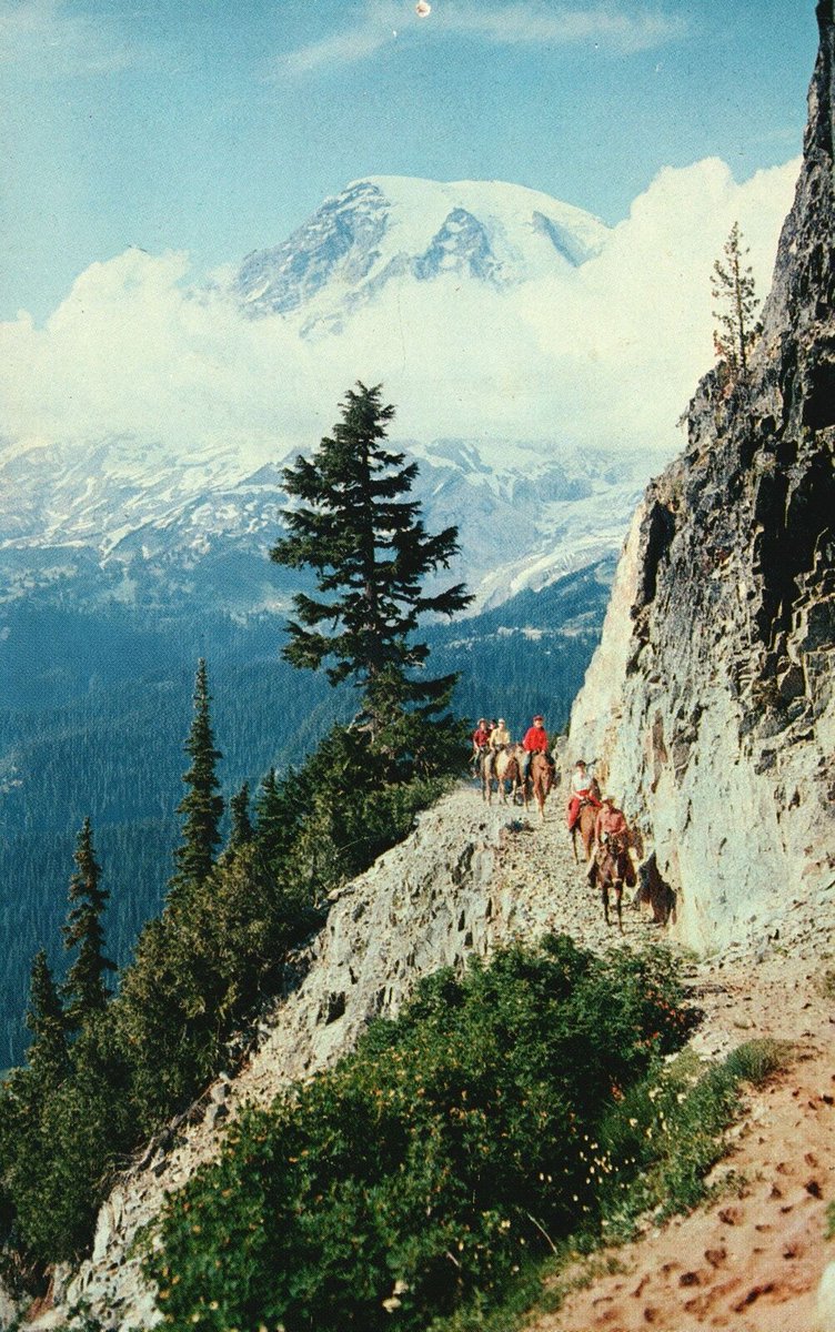 ACC_National's tweet photo. This land is yours to love and protect.

📍Mount Rainier National Park https://t.co/ialbjO0rKV