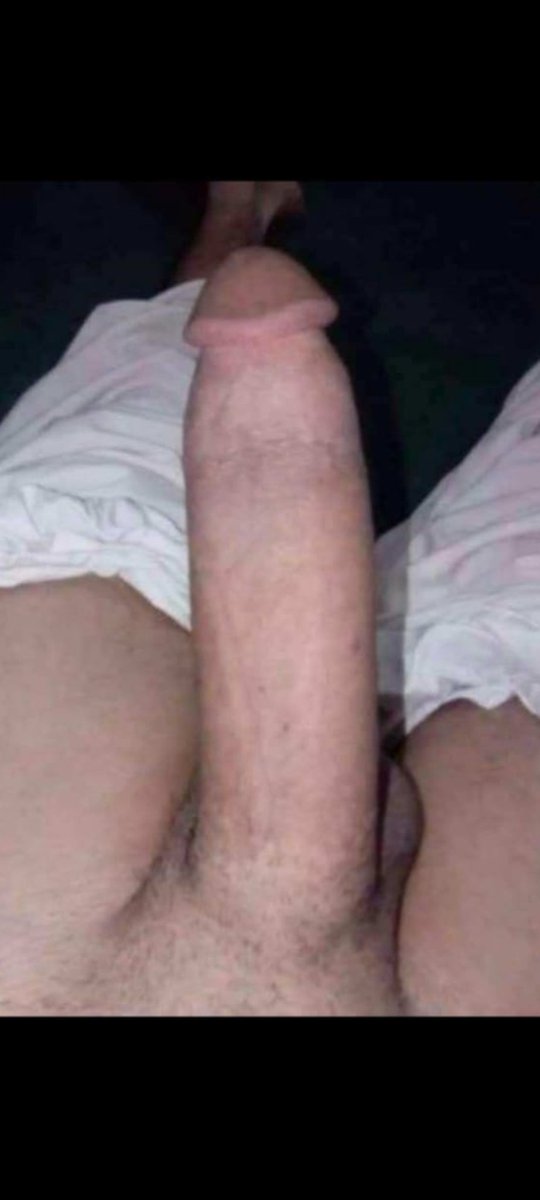 Ayan Gull tweet media