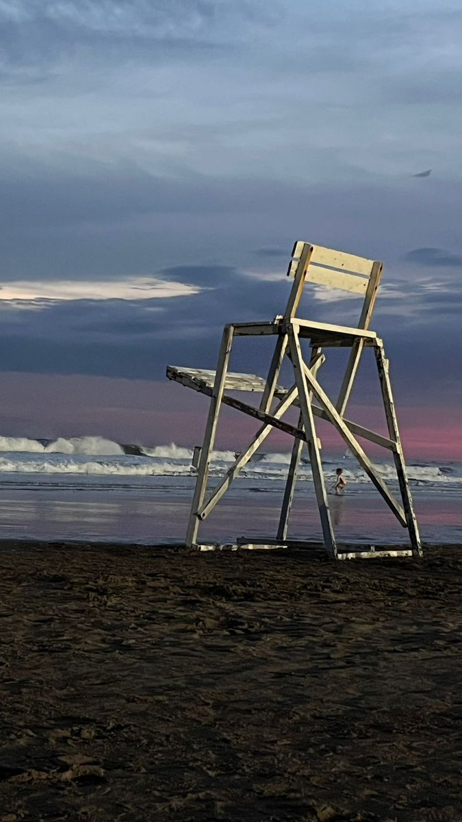 Alfonsina Negra y Huala🎨🌻 tweet media