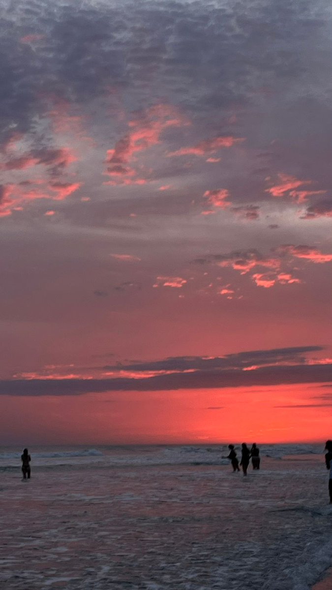 Alfonsina Negra y Huala🎨🌻 tweet media