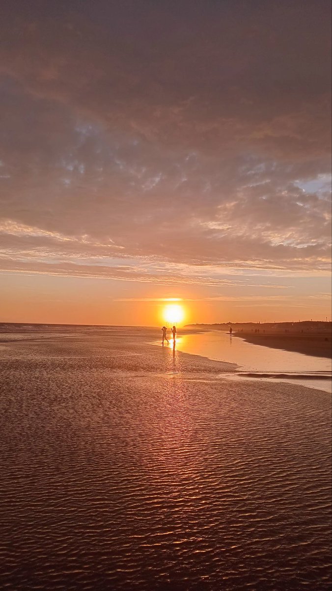 Alfonsina Negra y Huala🎨🌻 tweet media