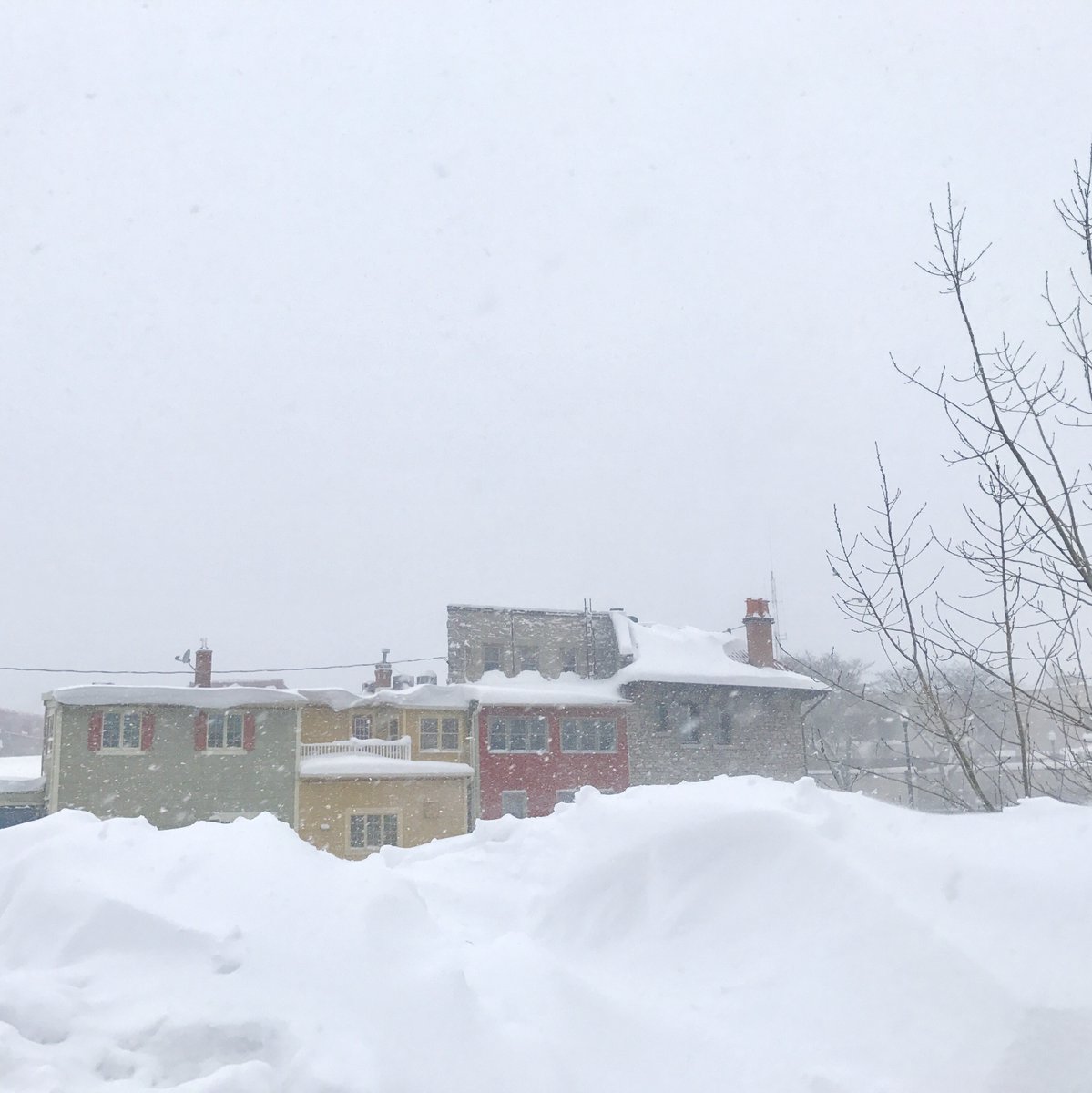 J. Fitzgerald Group tweet media