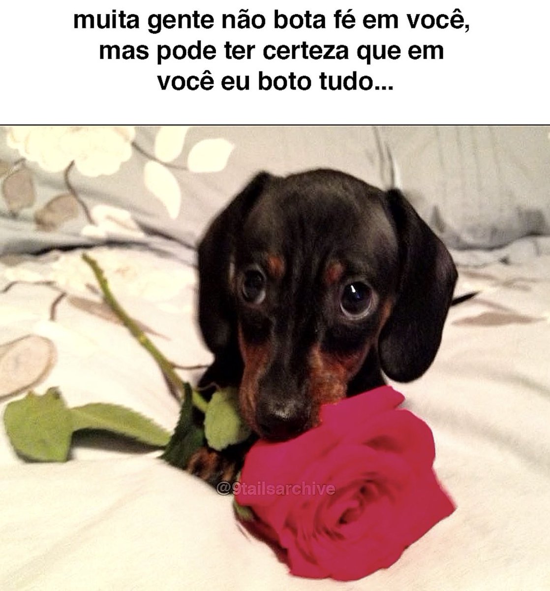 P*rra de cv mlq tu mora em apartamento carlho tweet media