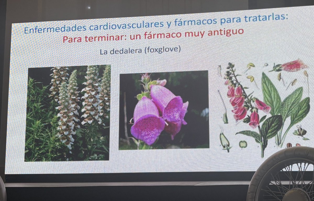 Almudena Castro Conde tweet media