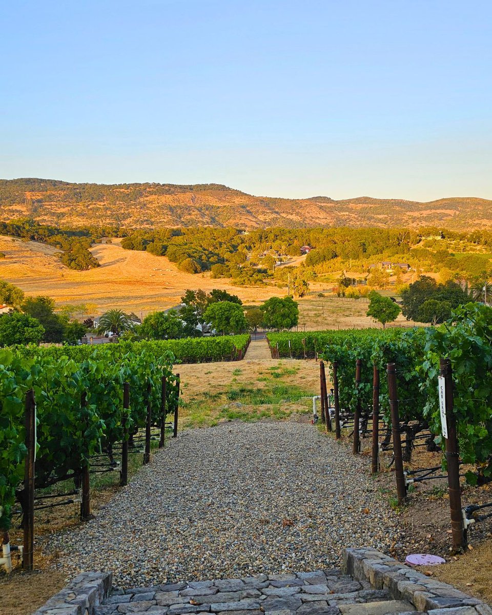 One destination. Endless interpretations. 
.
.
.
#luxurytravel #napavalley #wineconcierge