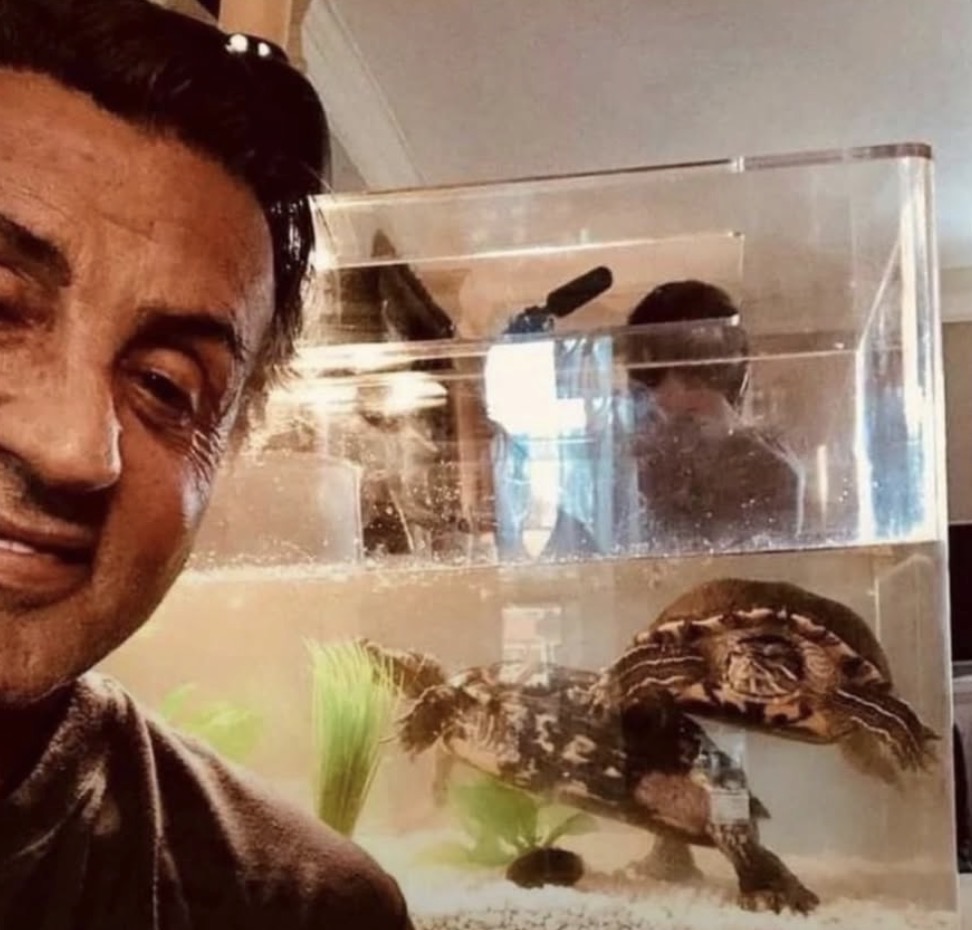 Historic Vids tweet media