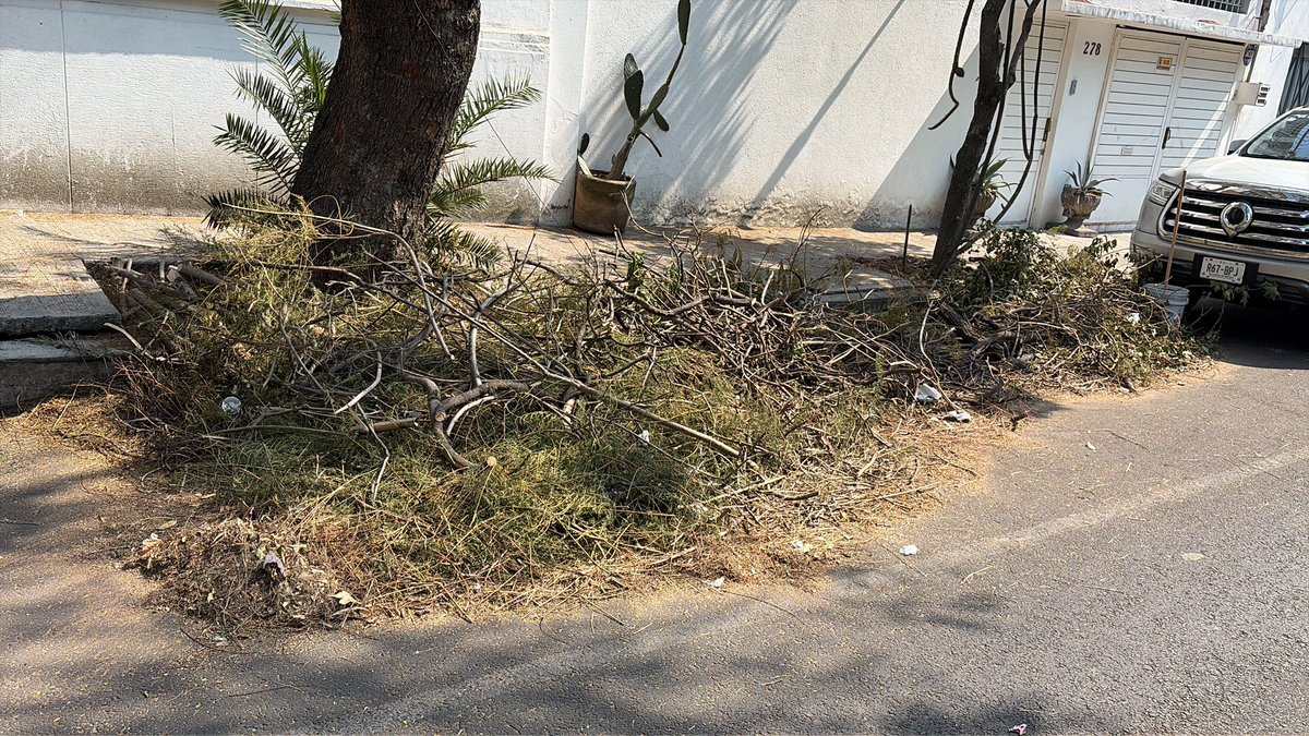 Hola <a href="/BJAlcaldia/">Alcaldía de Benito Juárez</a> <a href="/AccionesBJ/">Acciones BJ</a> Oigan, cómo para cuando van a venir a recoger todo el mugrero de ramas cortadas que dejaron en la colonia Nativitas. Hoy se cumplió una semana de que es un marranero la colonia.

La vez anterior al otro día vinieron a recogerlo pero ahora les valió.